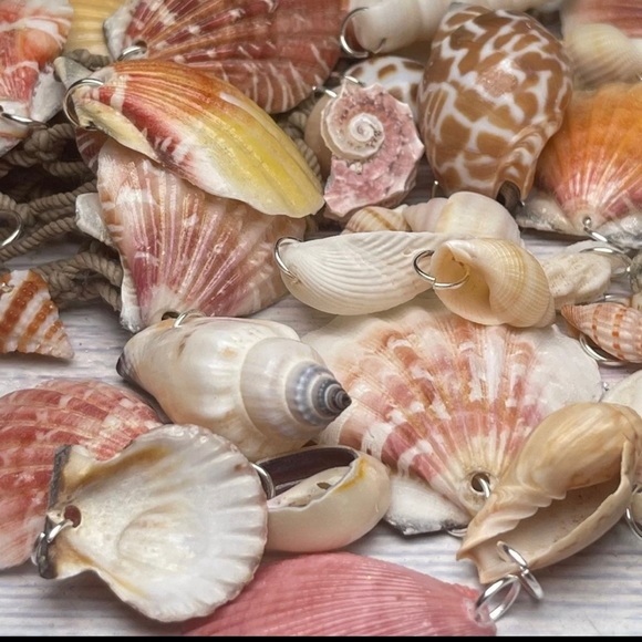 15 REAL SEASHELLS CHARMS PENDANTS w 15 JUMP RINGS FOR CRAFTING & JEWELRY MAKING - Picture 11 of 13